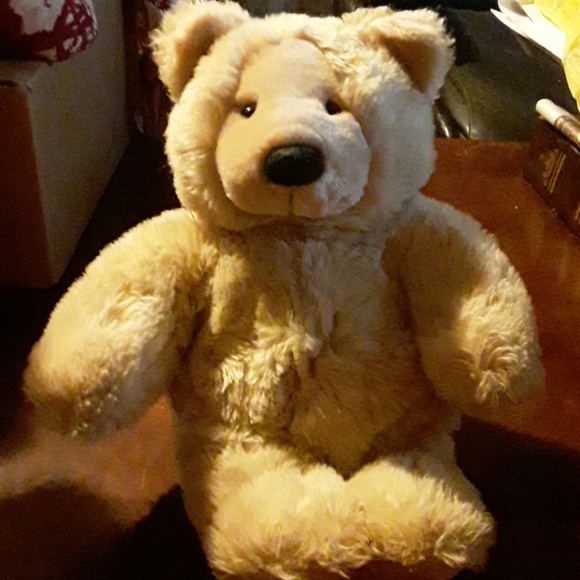 unidentified Other - Stuffed  Teddy bear very adorable.